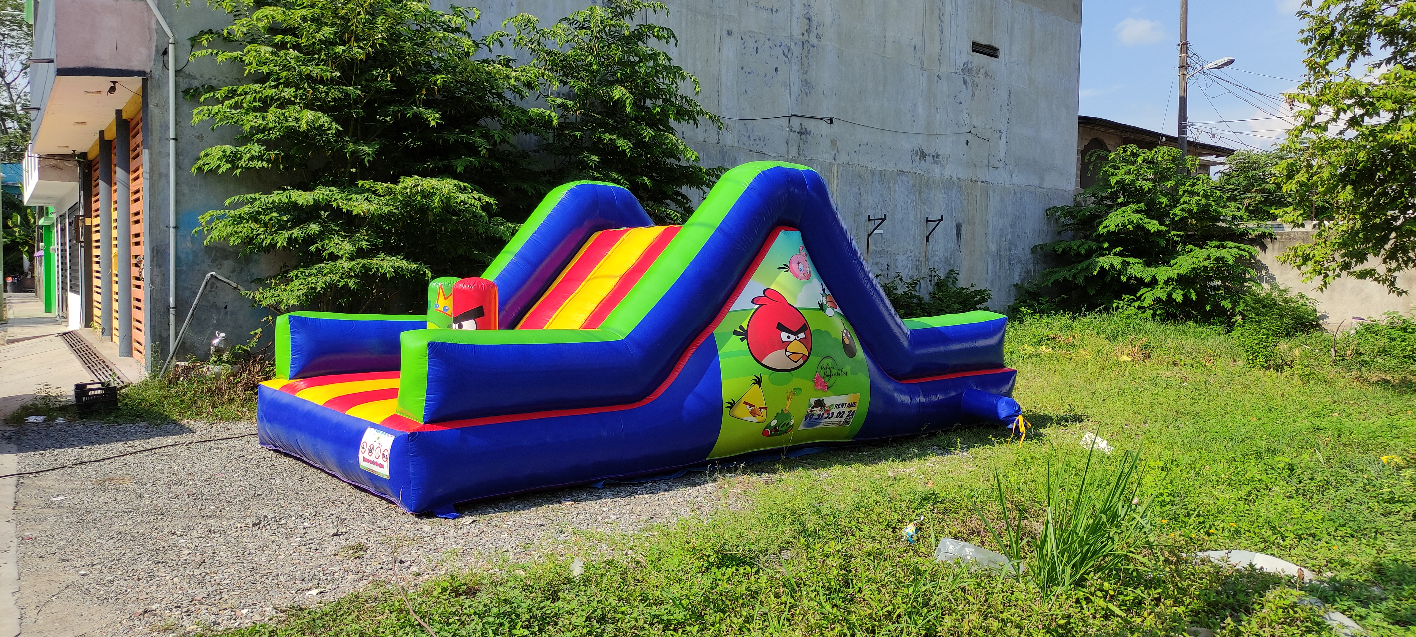 Escaladora doble Angry Birds