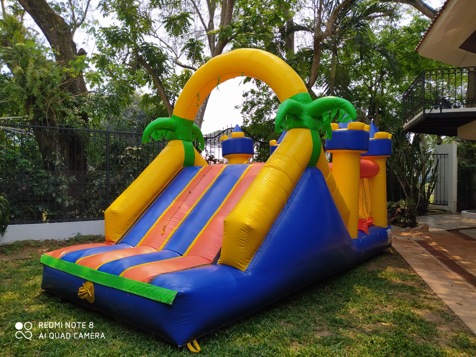 Escaladora Palmeras 2 en 1