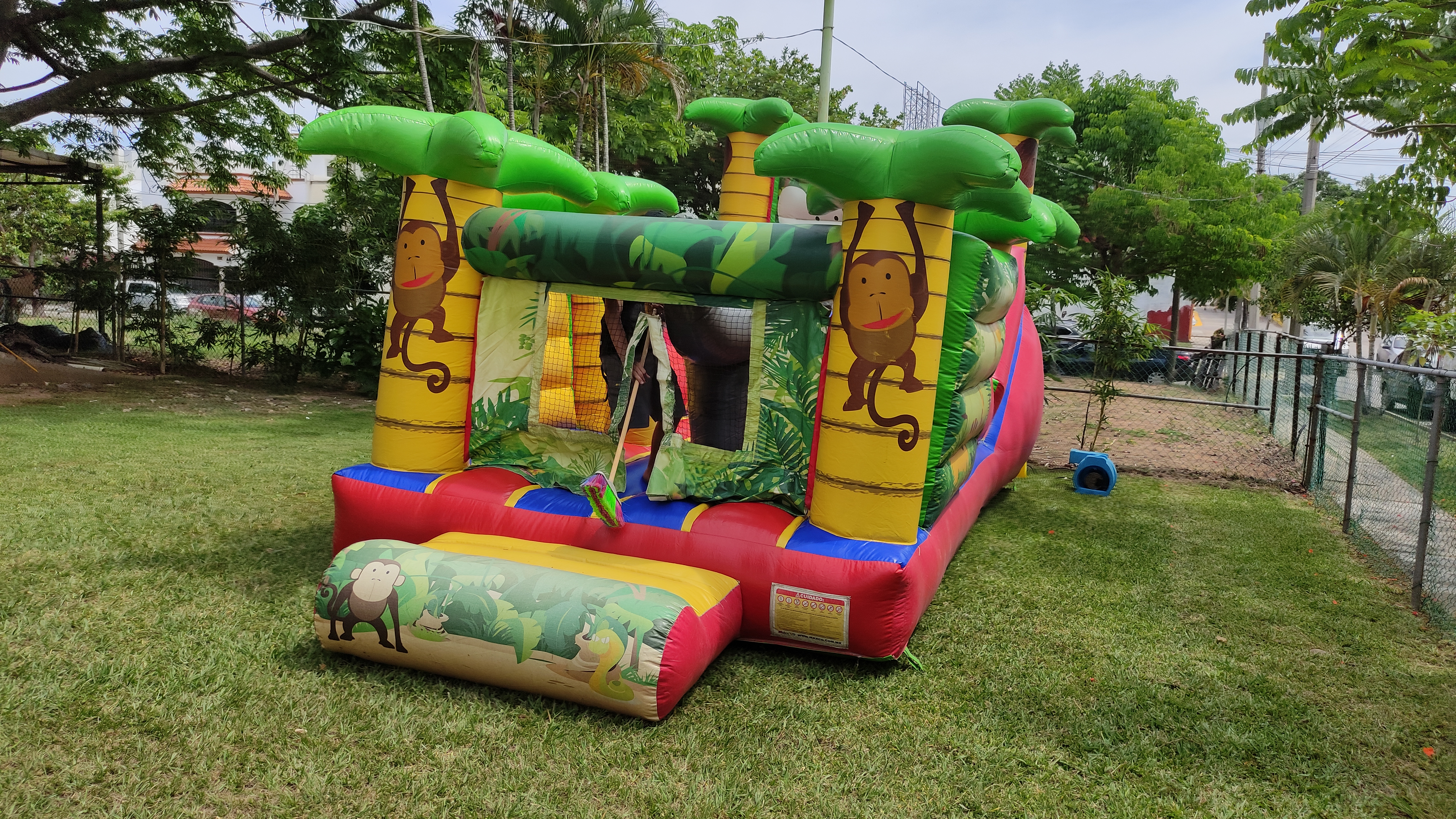 Selva Tropical